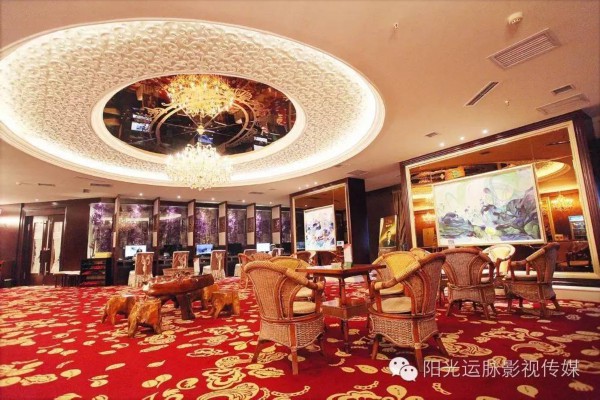 湖畔悠然品茗养生记